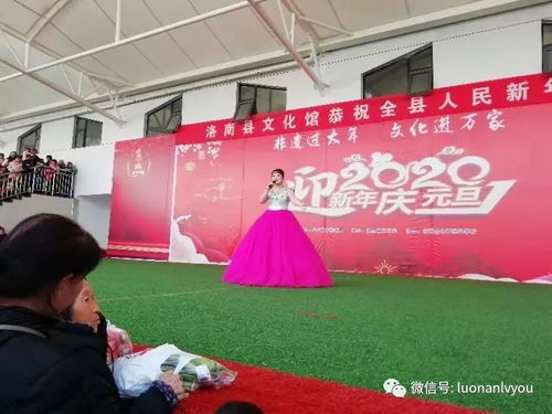 縣文旅局成功舉辦喜迎元旦系列文藝演出暨文化藝術交流活動