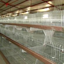 獲嘉縣振華牧業設備廠助力水產品養殖發展