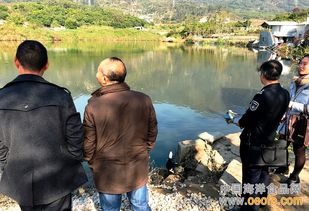 廈門集美雙嶺村養(yǎng)殖場迎節(jié)前“安全體檢”，筑牢水產(chǎn)品安全防線