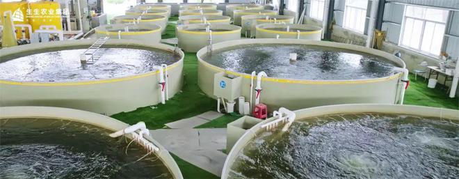 生生農(nóng)業(yè)集團(tuán) 打造全產(chǎn)業(yè)鏈閉環(huán)，實(shí)現(xiàn)水產(chǎn)養(yǎng)殖與全鏈路的深度賦能